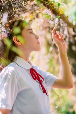 震惊！免费观看视频资源竟如此丰富？3年在线视频大全！哔哩哔哩等平台资源盘点！